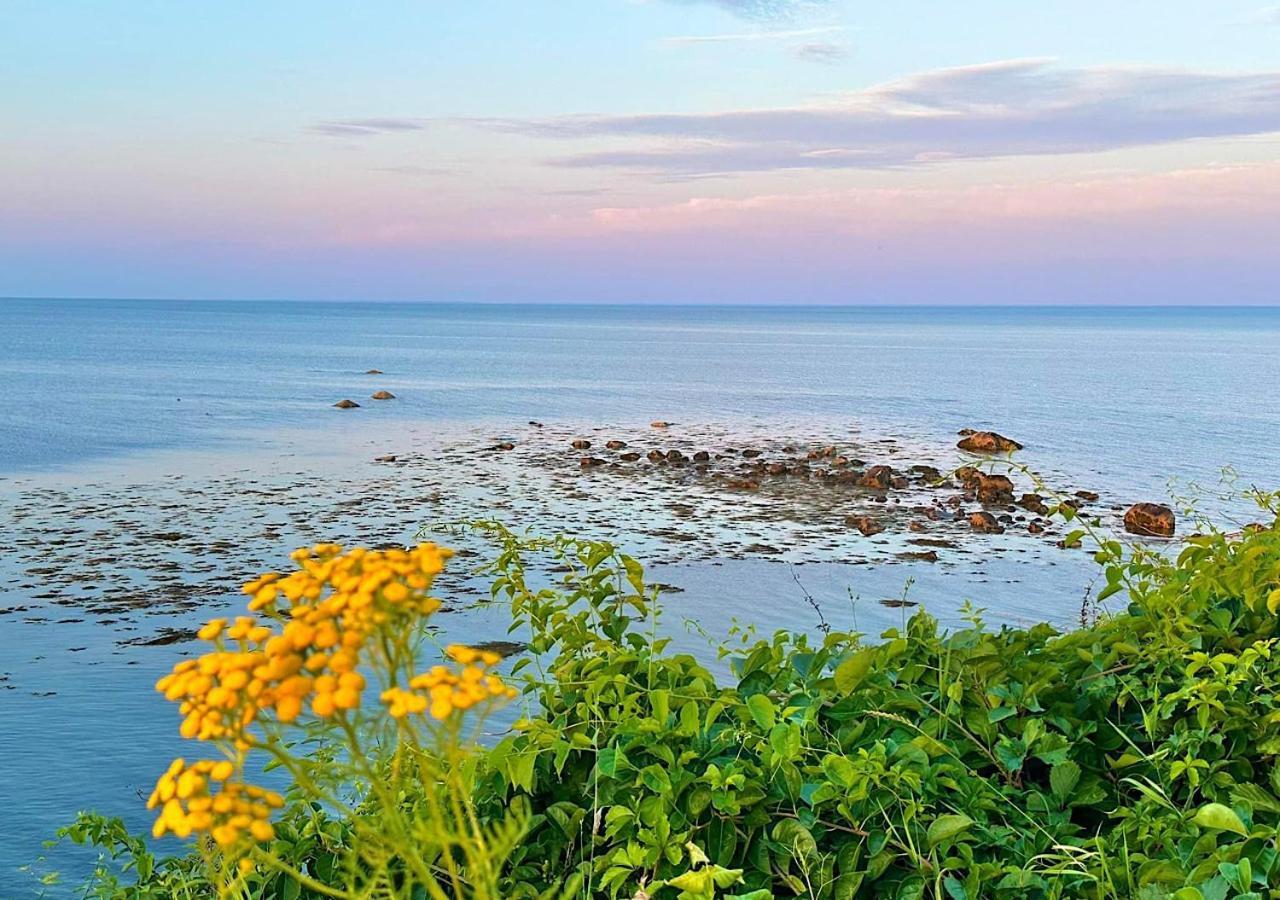 Wildflower Inn Plymouth Esterno foto